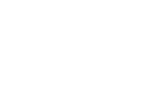 Precise Logo